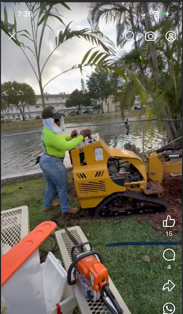 Paula's A1 Tree Removal work photo 1