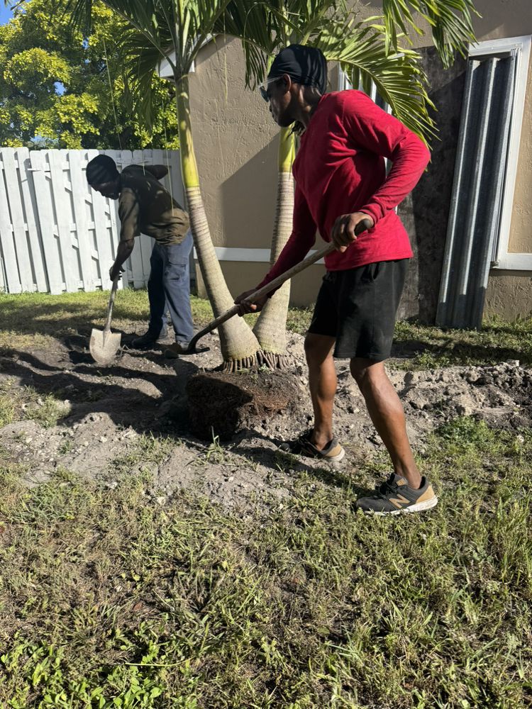 Paula's A1 Tree Removal work photo 11