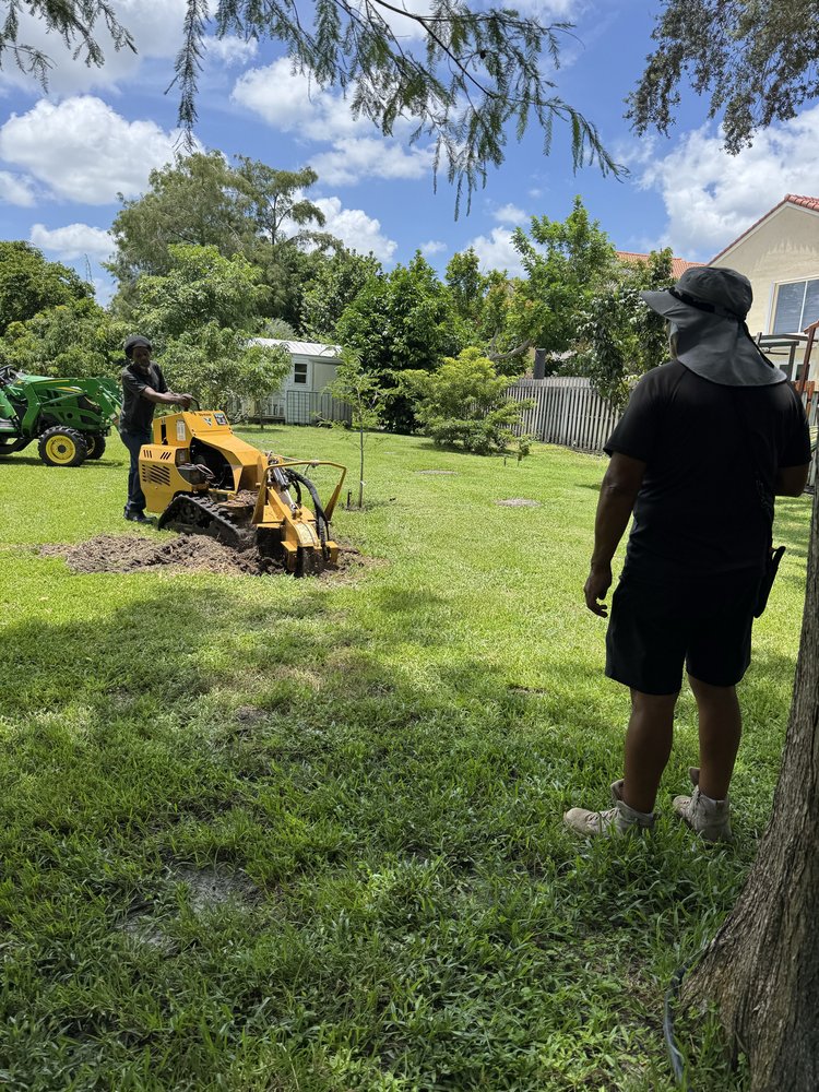 Paula's A1 Tree Removal Services