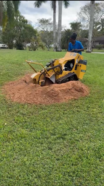 Paula's A1 Tree Removal work photo 4