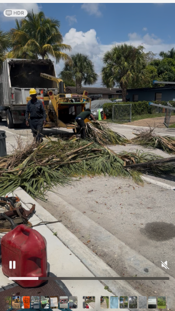 Paula's A1 Tree Removal work photo 7